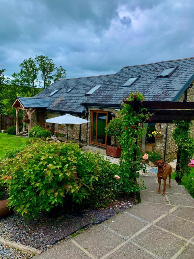 Beudy Bach Bed & Breakfast Cross Hands ภายนอก รูปภาพ