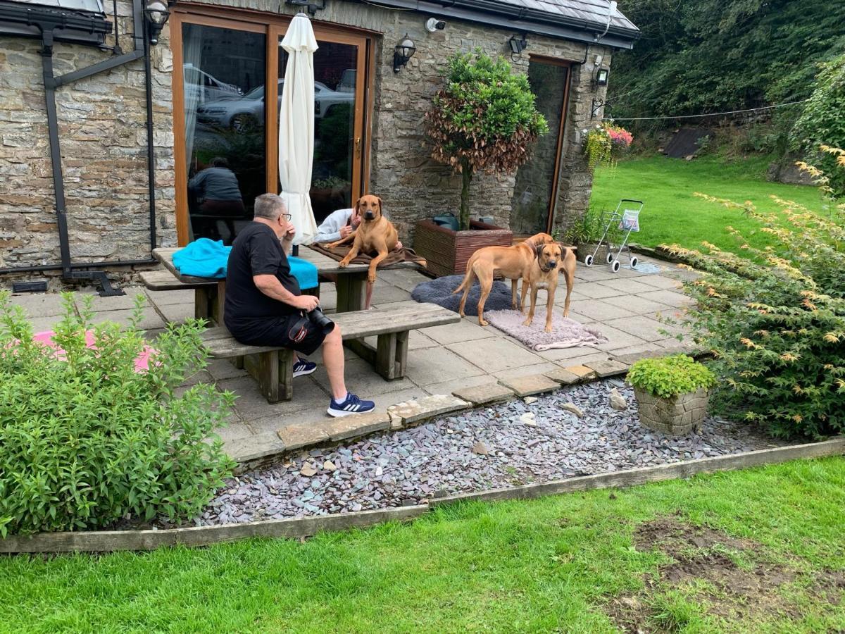 Beudy Bach Bed & Breakfast Cross Hands ภายนอก รูปภาพ