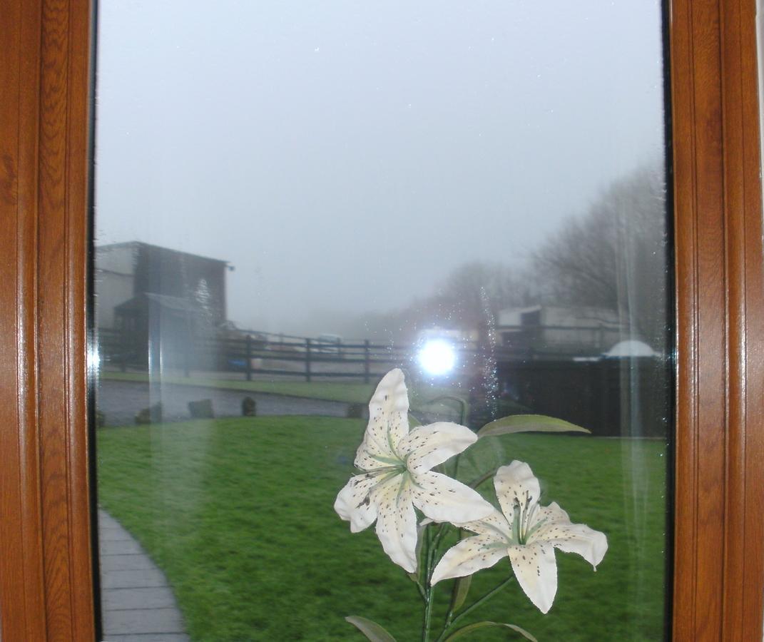 Beudy Bach Bed & Breakfast Cross Hands ภายนอก รูปภาพ
